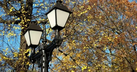 Lantern in Tsaritsyno Video stock 96679515