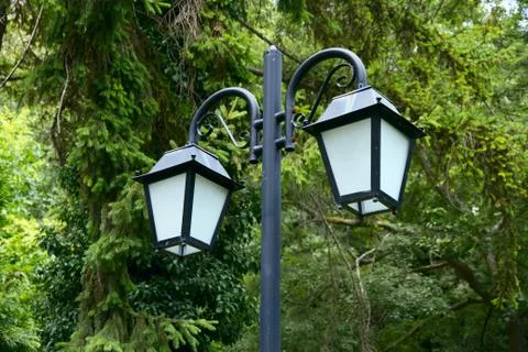 Lantern of the two lights in the trees. Stock Photos