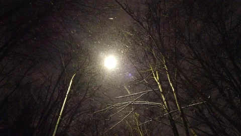 Lantern in the winter at night in the park. Snowing Video stock 166232241