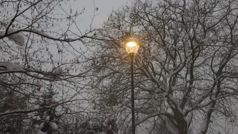 Lantern in the winter park Stock Footage 228753693