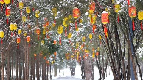 Lanterns on the branches. Видео 343695566