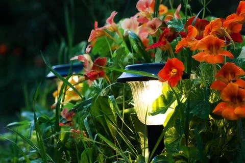 Lanterns in a garden Stock Photos