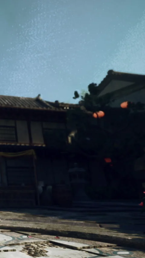 Lanterns hanging in an old town with flowers in the foreground during daytime Stock Footage 341253673