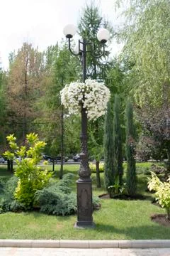 Lanterns for illumination of streets. Stock Photos
