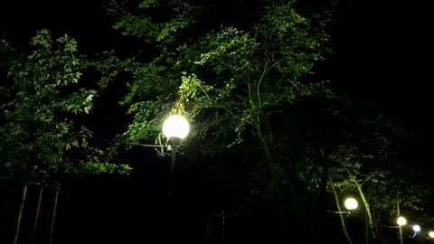 Lanterns in the park 2 Video stock 120150002