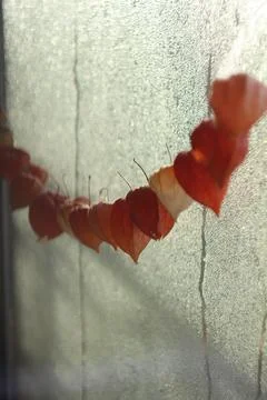 Lanterns 스톡 사진