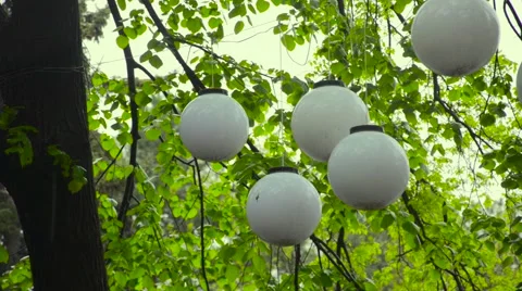 Lanterns tossing wind with rain drops Stock Footage 62454599