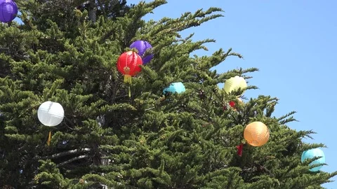 Lanterns in tree Stock-Footage 80378979