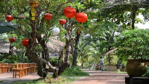 Lanterns on tree for lucky in new year Stock Footage 90343526