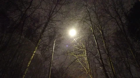Lanterns in the winter at night in the park. Walk in the snow Video stock 166231760