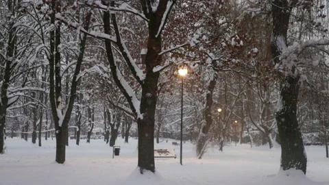 Lanterns in the winter park Stock Footage 228753731