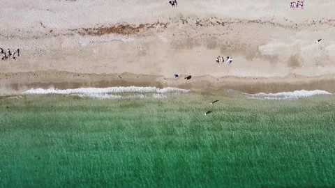 Lantic Bay. Crystal clear turquoise sea water in Cornwall, England. Видео 196348055