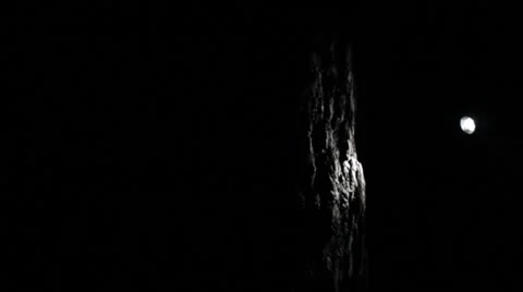 Lantren on a tree Stock Footage 36825296