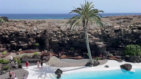 Lanzarote Landscape with Palm Tree Stock Footage 281077352