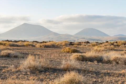 Lanzarote landscape Stock Photos