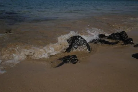 Lanzarote Stock Photos