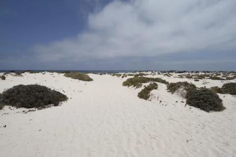 Lanzarote Stock Photos