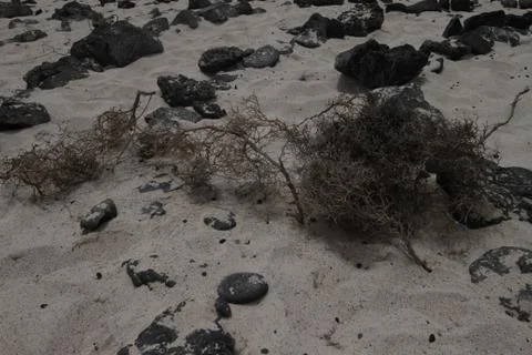 Lanzarote Stock Photos