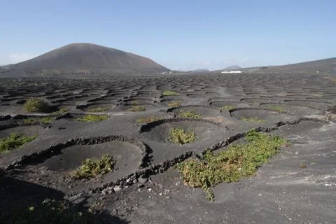 Lanzarote Stock Photos