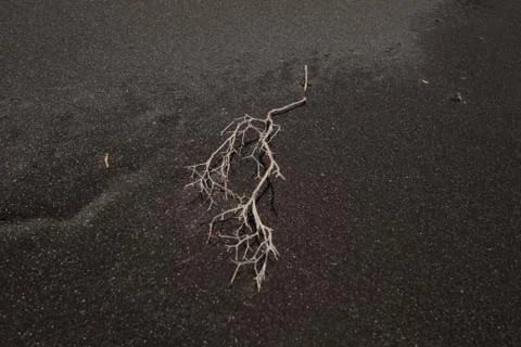 Lanzarote Stock Photos