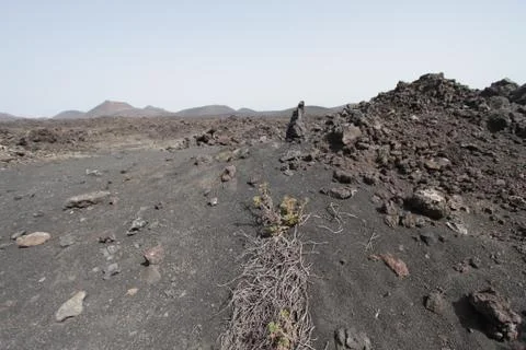 Lanzarote Stock Photos