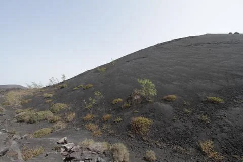 Lanzarote Stock Photos