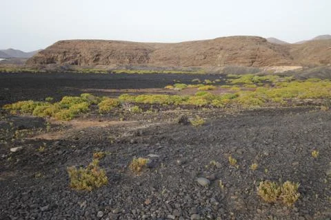 Lanzarote Stock Photos