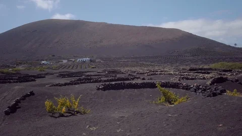 Lanzarote vineyards Stock Footage 108933528
