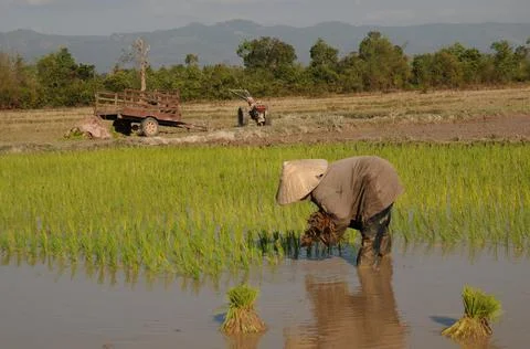 Lao farmer Stock Photos