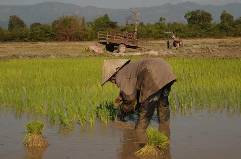 Lao farmer Stock Photos