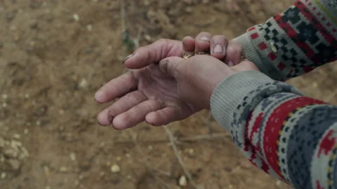 Lao farmers use traditional slash-and-burn methods to plant seeds Video stock 134161053