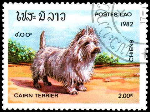 LAOS - CIRCA 1982: postage stamp, printed in Laos, shows a Cairn Terrier dog Stock Photos