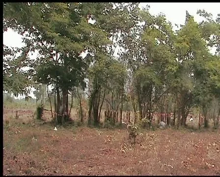 Laos Cluster Bomb Explosion Stock Footage 11898017