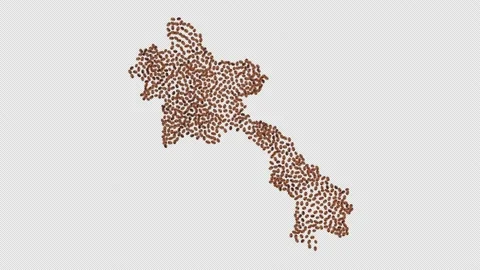 Laos Coffee Beans Stock Footage 152667561