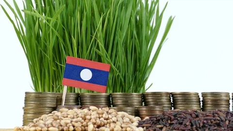 Laos flag with stack of money coins and piles of wheat and rice seeds Stock Footage 71976400