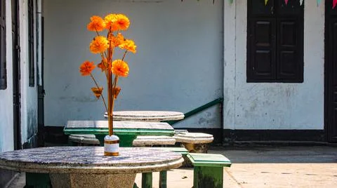 Laos Flowers Photos