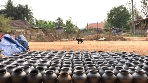 Laos Goat Stock Footage 117506606