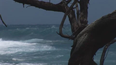 Lap001 Stock Footage 7770425