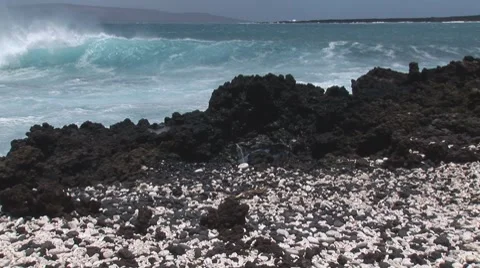 Lap005 Stock Footage 7770505