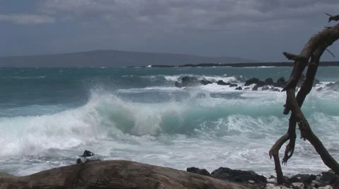 Lap007 Stock Footage 7770521