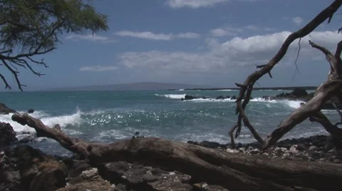 Lap008 Stock Footage 7770535