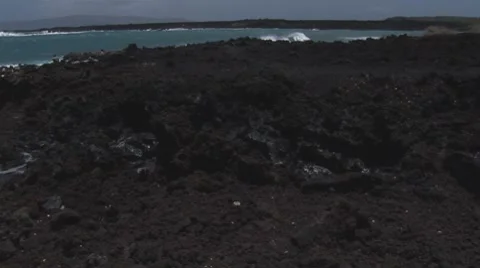 Lap009 Stock Footage 7770530