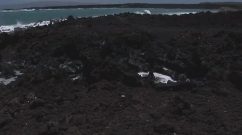 Lap010 Stock Footage 7771530