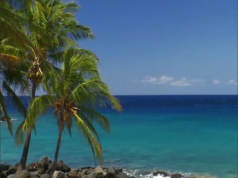 Lapakahi State Park 스톡 동영상 22243139