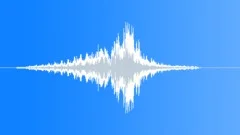 LAPD Sound Effect