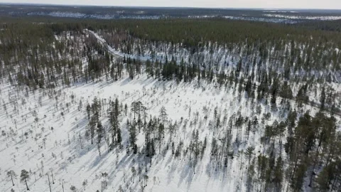 Lapland aerial view Video stock 275446577