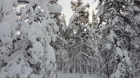 Lapland, Akaslompolo Stock-Footage 194681532