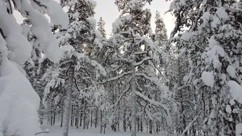 Lapland, Akaslompolo Stock-Footage 194681724