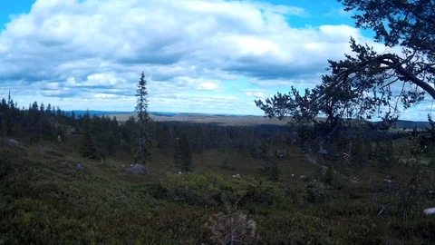 Lapland Summer Stock Footage