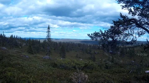 Lapland Summer Time Laps Stock Footage